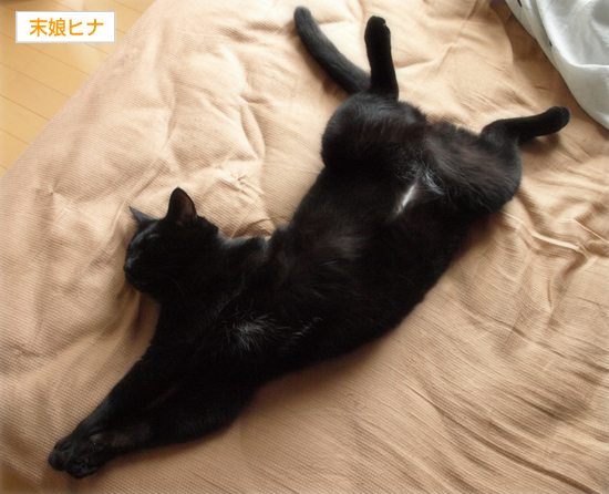腹チャック_a0389088_17311855.jpg