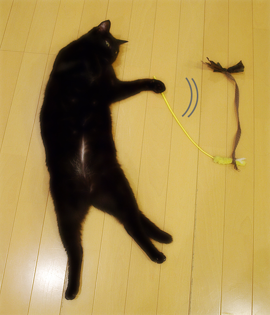 腹チャック先生の魔法_a0389088_17312101.jpg