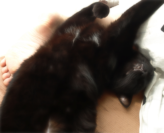 開運の方法_a0389088_17312569.jpg