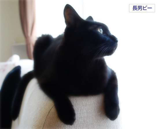 あいの日_a0389088_17313051.jpg