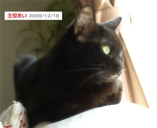 あいの日_a0389088_17313093.jpg