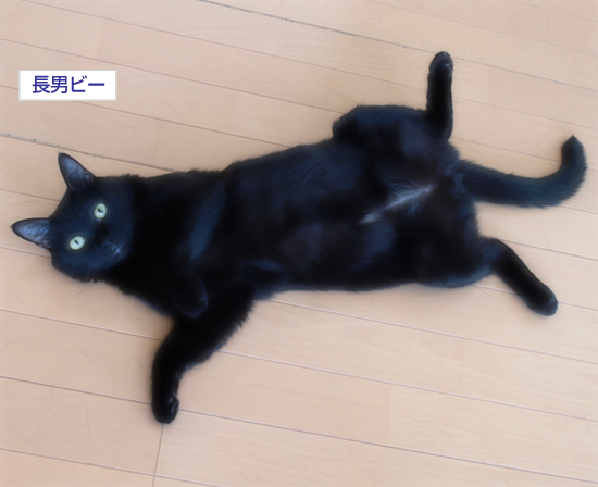 昼夜の腹チャック先生_a0389088_17313120.jpg