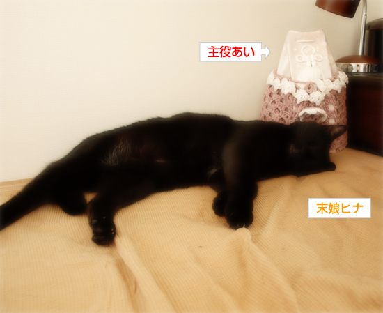 ペロリの遺伝?_a0389088_17313385.jpg