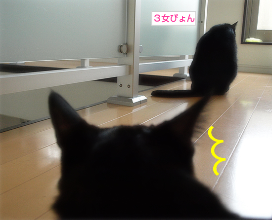 フラれ、フラれて…_a0389088_17313568.jpg