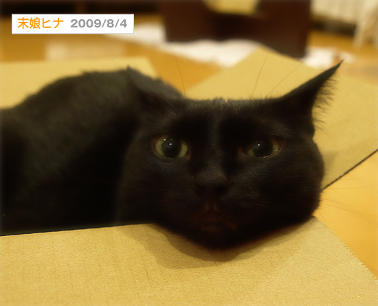 キミがいた日々_a0389088_17313961.jpg