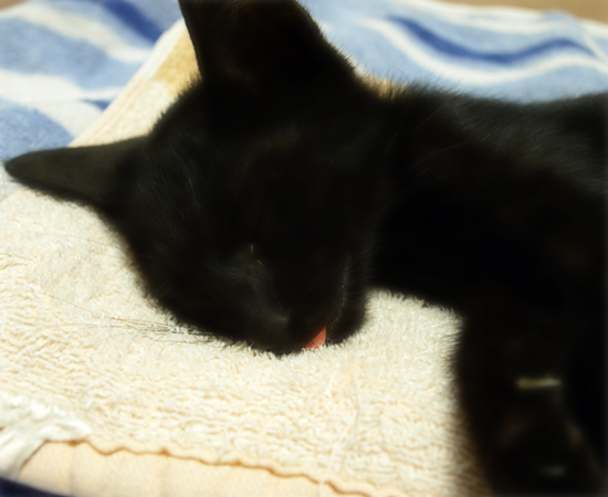 生きてます!_a0389088_17314794.jpg