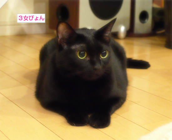 退院しました!_a0389088_17314824.jpg
