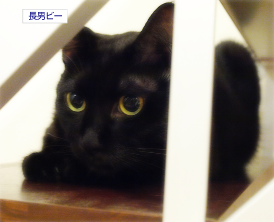 退院しました!_a0389088_17314914.jpg