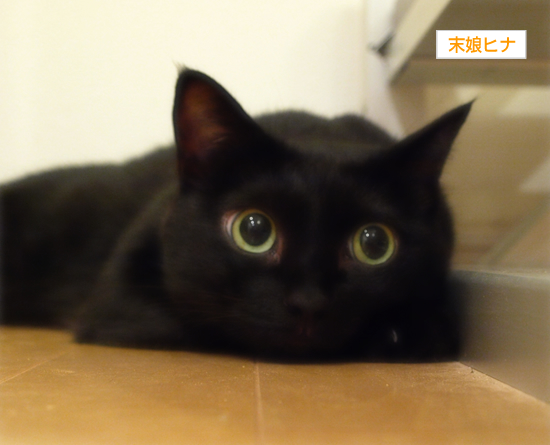 退院しました!_a0389088_17314944.jpg