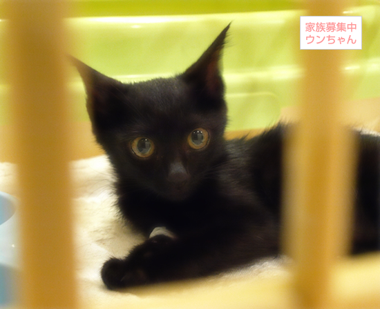 退院しました!_a0389088_17314988.jpg