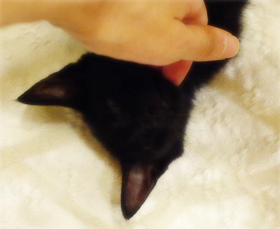 生きるということ_a0389088_17315042.jpg