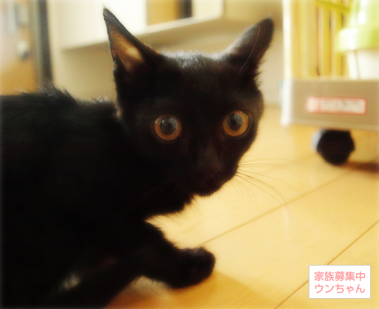 「こわい」_a0389088_17315077.jpg