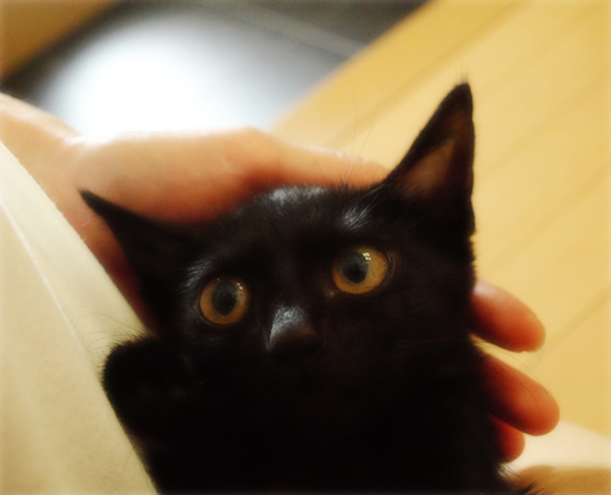 「こわい」_a0389088_17315095.jpg