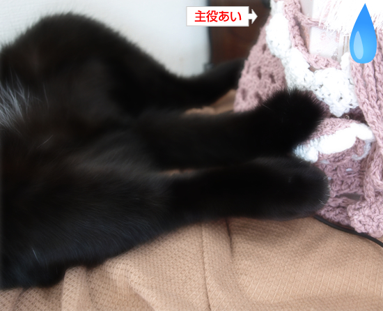 日々は、心は、うごいてる_a0389088_17315135.jpg