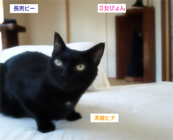 日々は、心は、うごいてる_a0389088_17315193.jpg