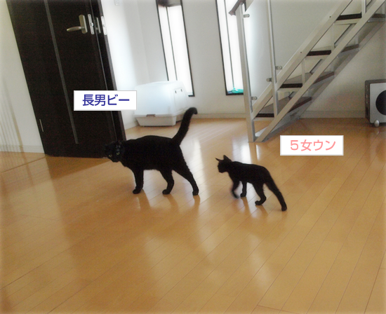 おっぱい_a0389088_17320141.jpg
