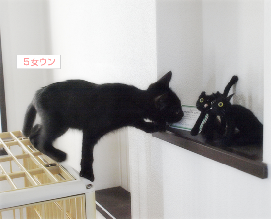出会えてよかった_a0389088_17320363.jpg