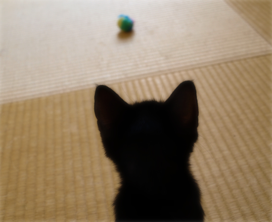 9か月が過ぎて…_a0389088_17320457.jpg