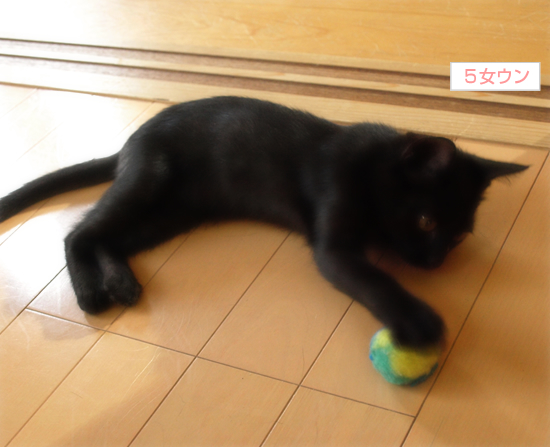 9か月が過ぎて…_a0389088_17320469.jpg