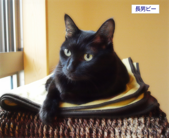 キミと見た景色_a0389088_17320976.jpg