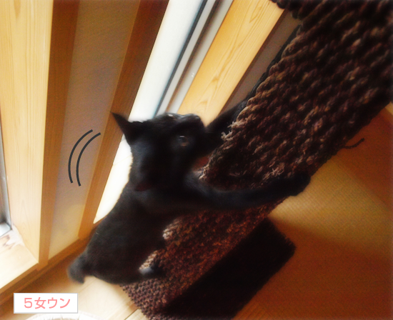 キミと見た景色_a0389088_17321037.jpg
