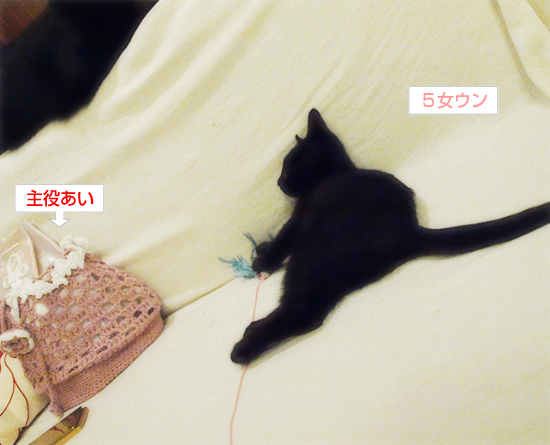 vs子猫…近づく距離_a0389088_17321213.jpg
