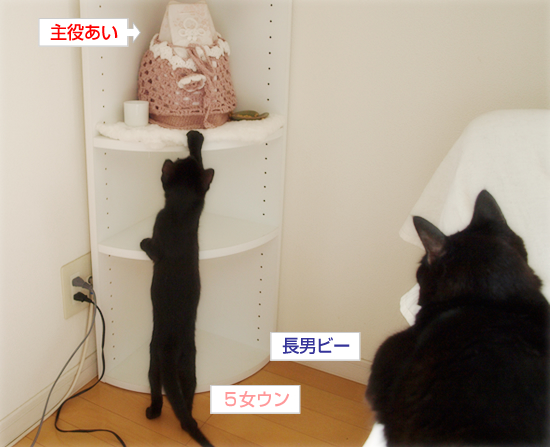 なつかしのベロペロリ猫_a0389088_17321537.jpg