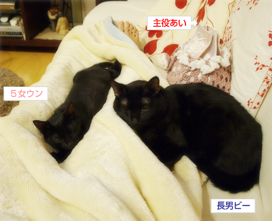 幸福なまどろみ_a0389088_17321997.jpg
