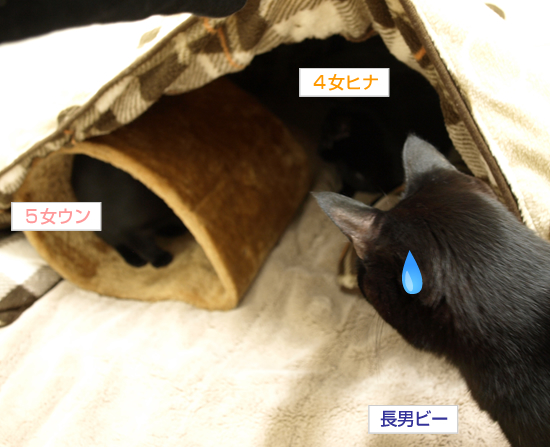 今年も立ち往生_a0389088_17322450.jpg
