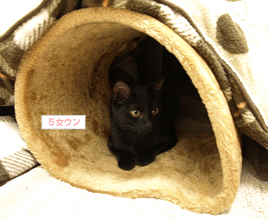 今年も立ち往生_a0389088_17322490.jpg