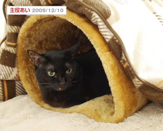 今年も立ち往生_a0389088_17322498.jpg
