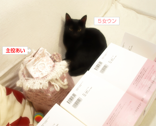 新作書籍、先行販売♪_a0389088_17322745.jpg