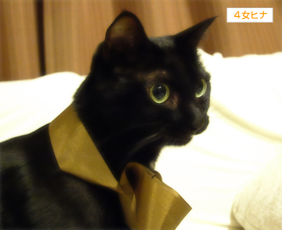 みっつの光_a0389088_17323339.jpg
