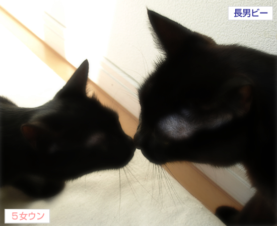 フィナーレのあとの永遠_a0389088_17323575.jpg