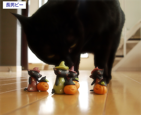 黒猫ハロウィン_a0389088_17324076.jpg