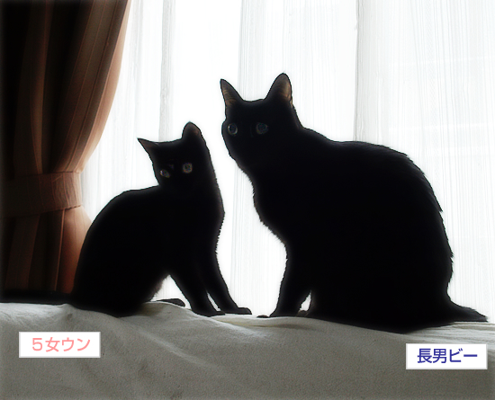 病院_a0389088_17324552.jpg