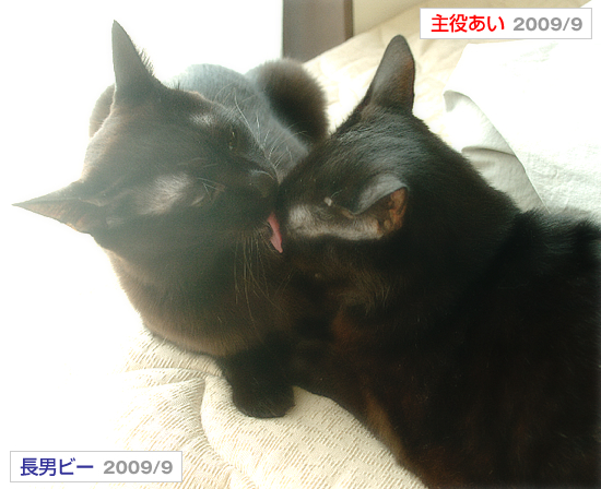 今日だけはポジティブに_a0389088_17332358.jpg