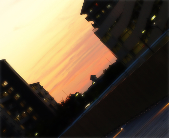 今日だけはポジティブに_a0389088_17332404.jpg
