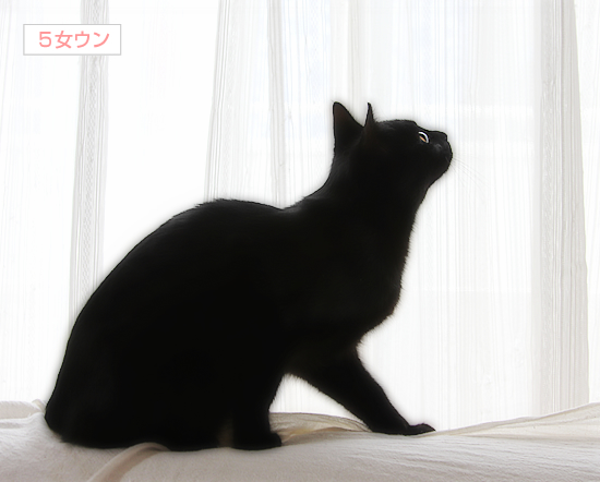男(長男)と男(ダンナ)_a0389088_17334038.jpg