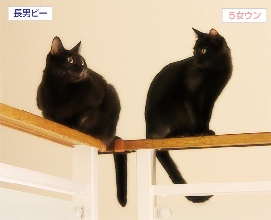 救急の夜に_a0389088_17334194.jpg
