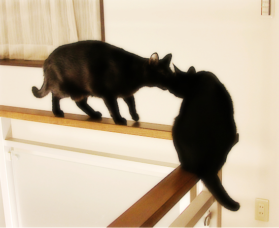 救急の夜に_a0389088_17334198.jpg