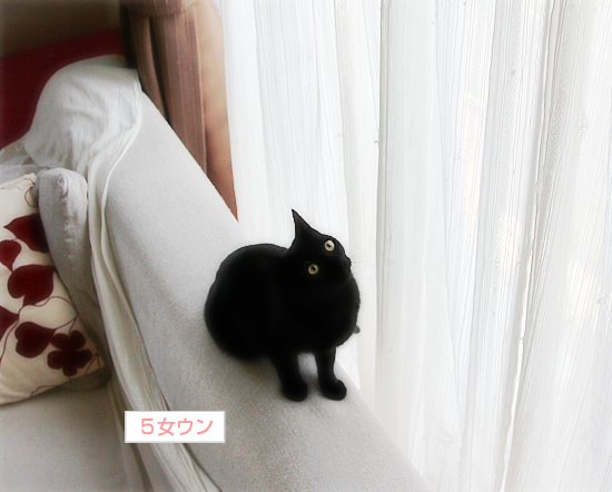 男はつらいよ_a0389088_17334525.jpg
