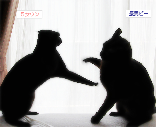 男はつらいよ_a0389088_17334531.jpg