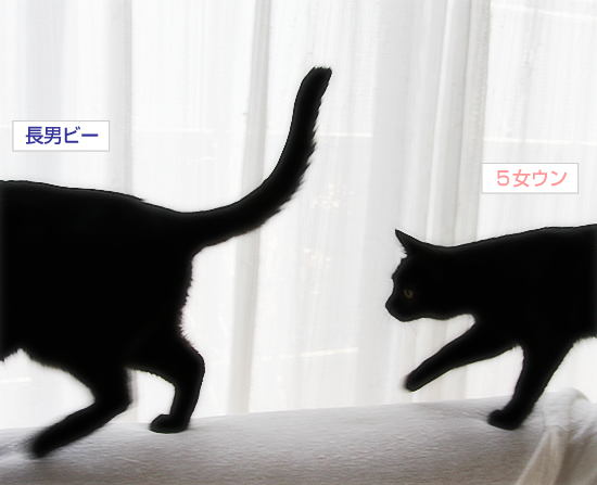 男はつらいよ_a0389088_17334580.jpg