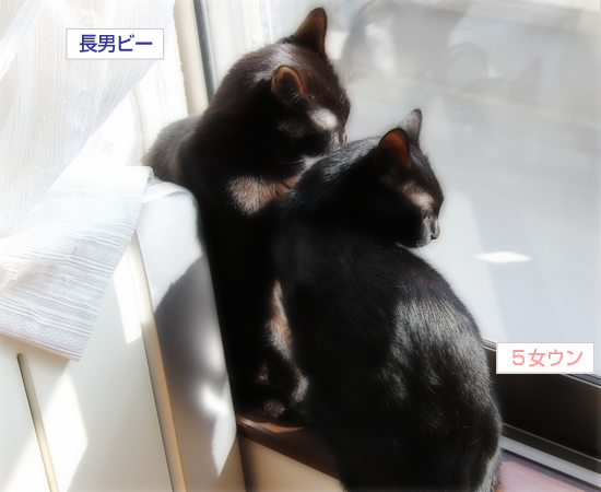 つなぎあう絆_a0389088_17334882.jpg
