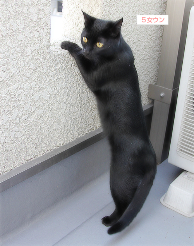 伝承される点検隊長_a0389088_17340393.jpg