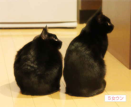 それは愛なのか!?_a0389088_17340422.jpg