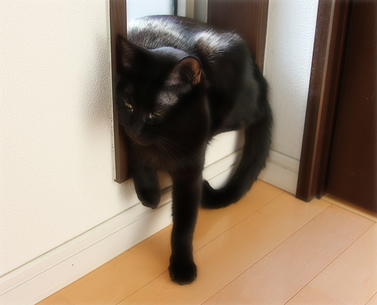 こんなにも…好き_a0389088_17340762.jpg
