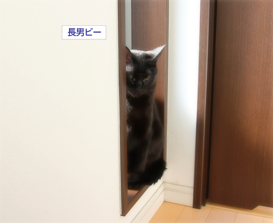 こんなにも…好き_a0389088_17340796.jpg