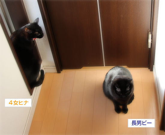 こんなにも…好き_a0389088_17340829.jpg